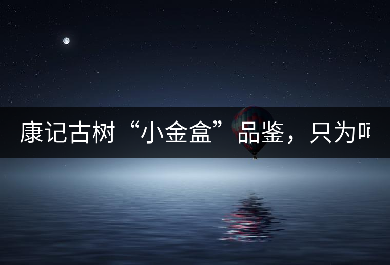 康記古樹“小金盒”品鑒，只為呵護(hù)您的味蕾！