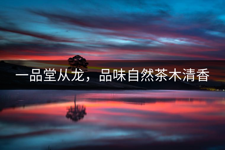 一品堂從龍，品味自然茶木清香