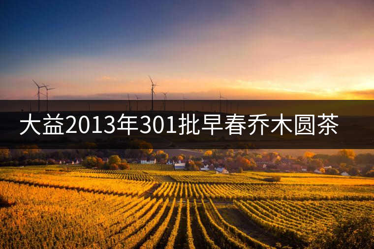 大益2013年301批早春喬木圓茶開湯品鑒 大益2013年301批早春喬木圓茶開湯品鑒
