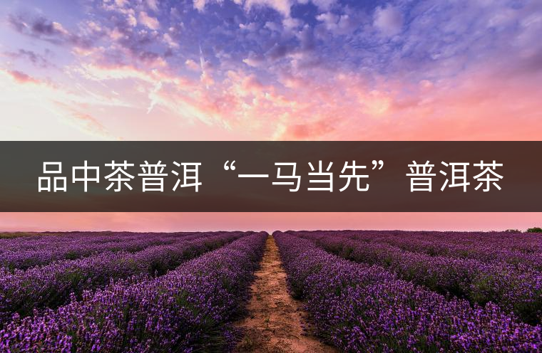 品中茶普洱“一馬當(dāng)先”普洱茶 品中茶普洱“一馬當(dāng)先”普洱茶