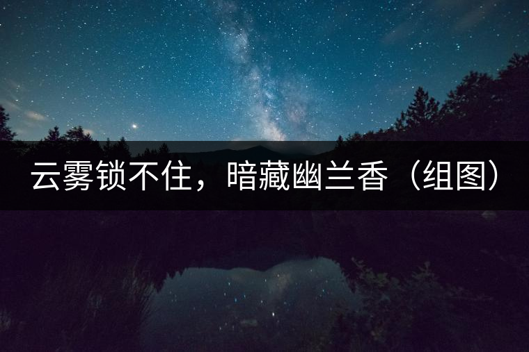 云霧鎖不住，暗藏幽蘭香（組圖）
