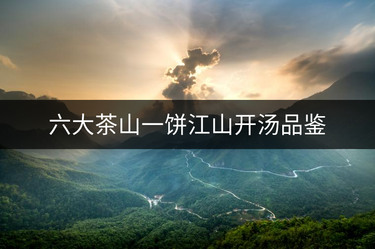 六大茶山一餅江山開(kāi)湯品鑒