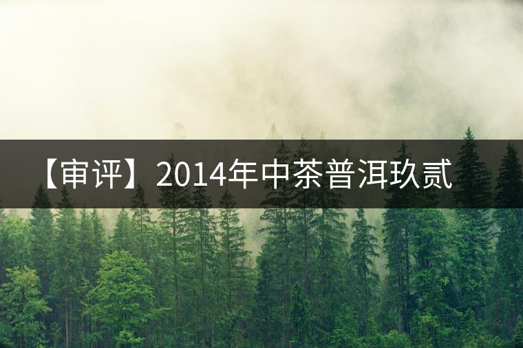 【審評(píng)】2014年中茶普洱玖貳方磚