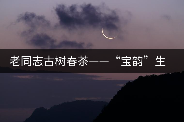 老同志古樹春茶——“寶韻”生茶開湯鑒賞 老同志古樹春茶——“寶韻”生茶開湯鑒賞
