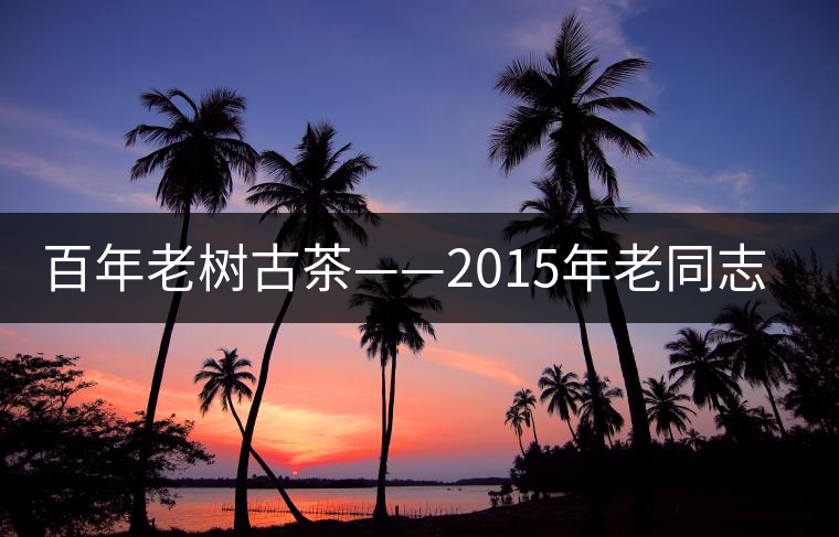百年老樹古茶——2015年老同志一號熟餅 百年老樹古茶——2015年老同志一號熟餅