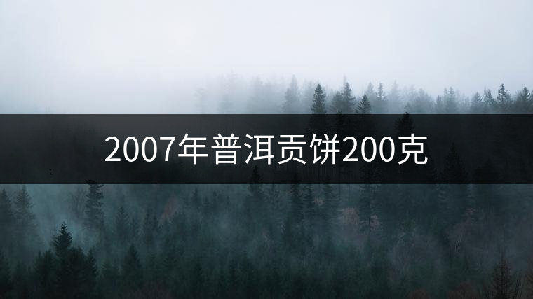 2007年普洱貢餅200克