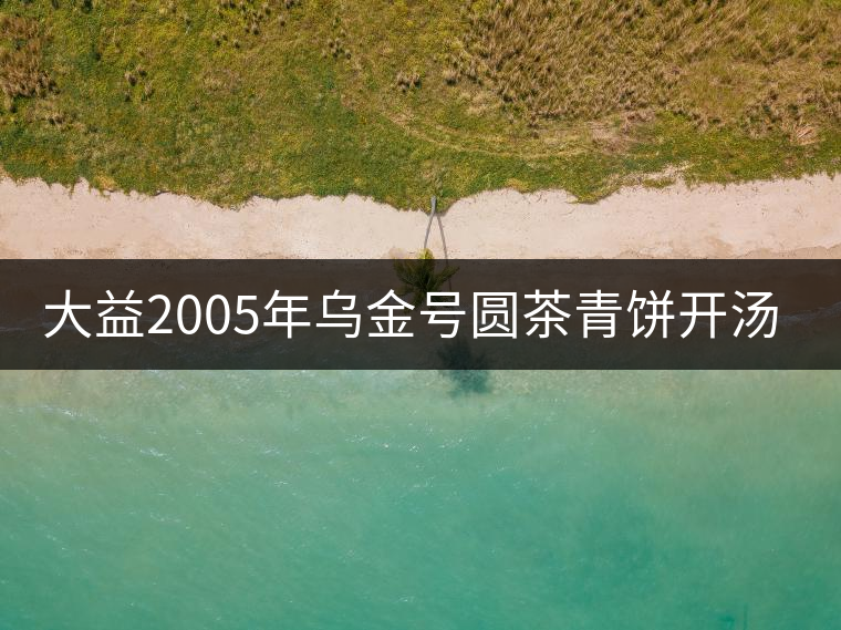 大益2005年烏金號(hào)圓茶青餅開湯品鑒 大益2005年烏金號(hào)圓茶青餅開湯品鑒