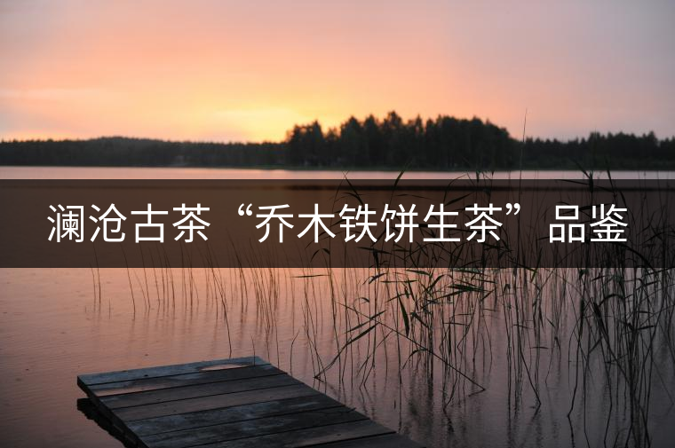 瀾滄古茶“喬木鐵餅生茶”品鑒 瀾滄古茶“喬木鐵餅生茶”品鑒