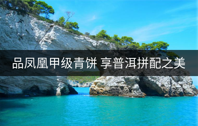 品鳳凰甲級青餅 享普洱拼配之美