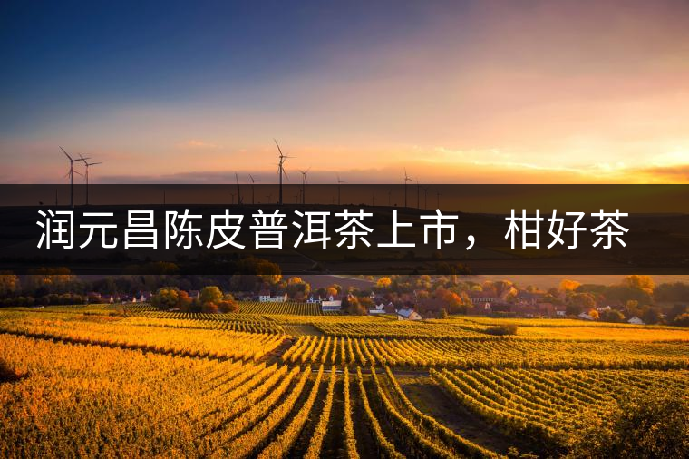 潤元昌陳皮普洱茶上市，柑好茶更好，精品普洱茶