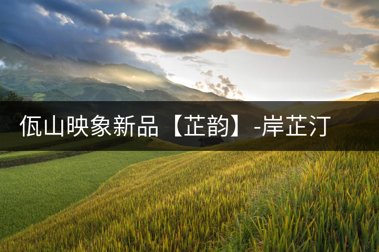 佤山映象新品【芷韻】-岸芷汀蘭，出一杯甘厚普洱