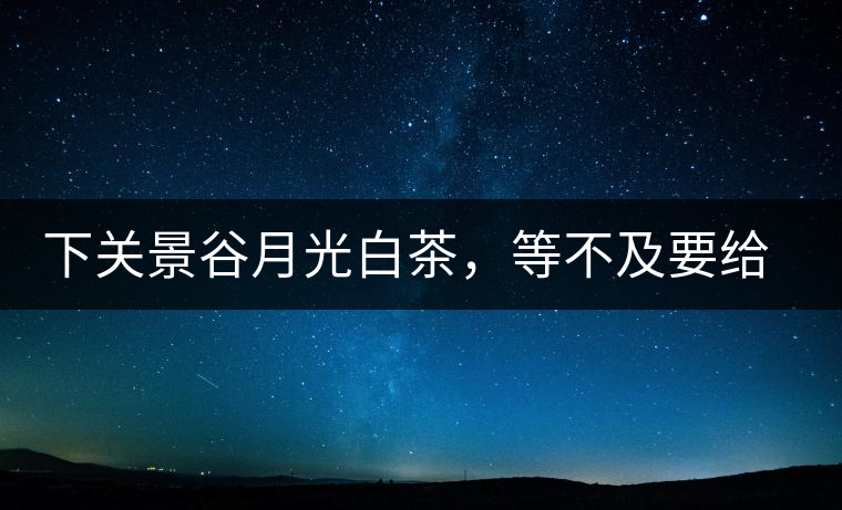 下關(guān)景谷月光白茶，等不及要給你的思念