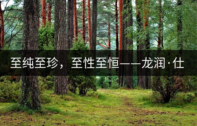 至純至珍，至性至恒——龍潤·仕通茶新上市！