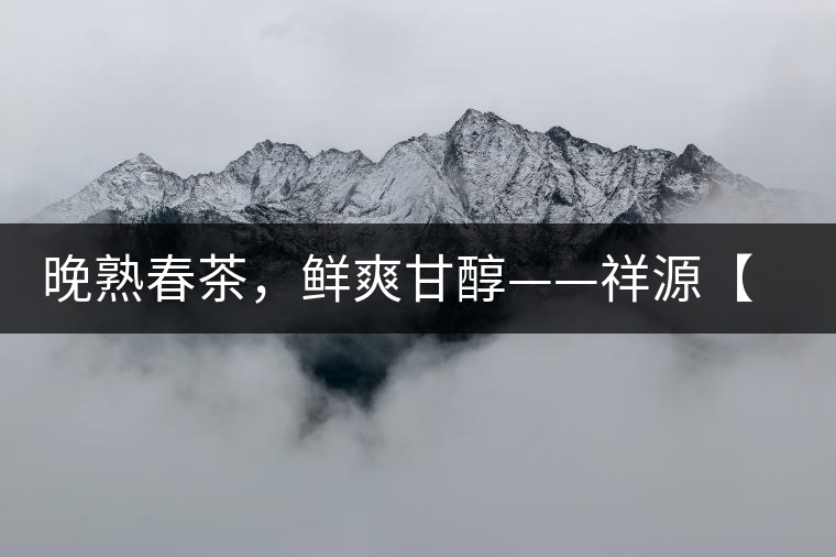 晚熟春茶，鮮爽甘醇——祥源【政和大白】清鮮上市