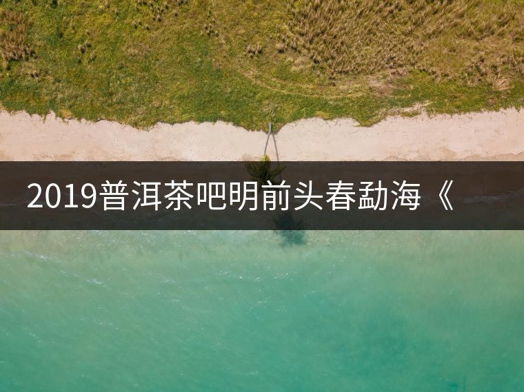 2019普洱茶吧明前頭春勐?！对鹿獍住钒撞鑳?yōu)惠訂購