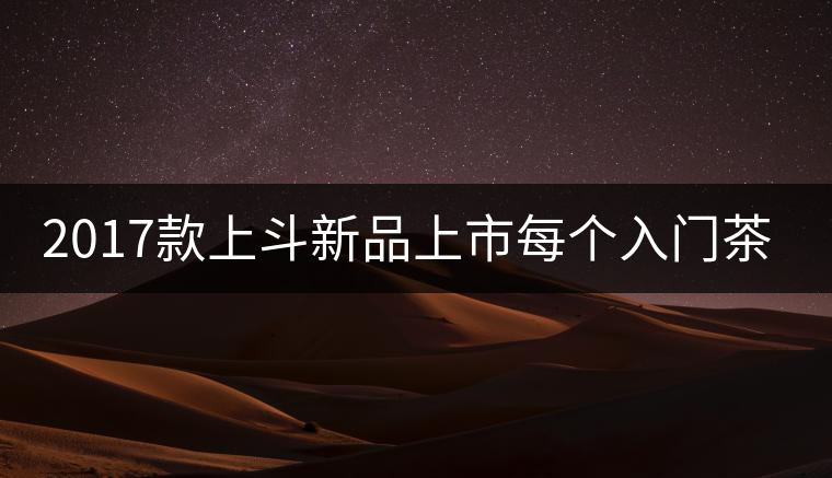 2017款上斗新品上市每個入門茶人都欠自己一餅上斗！