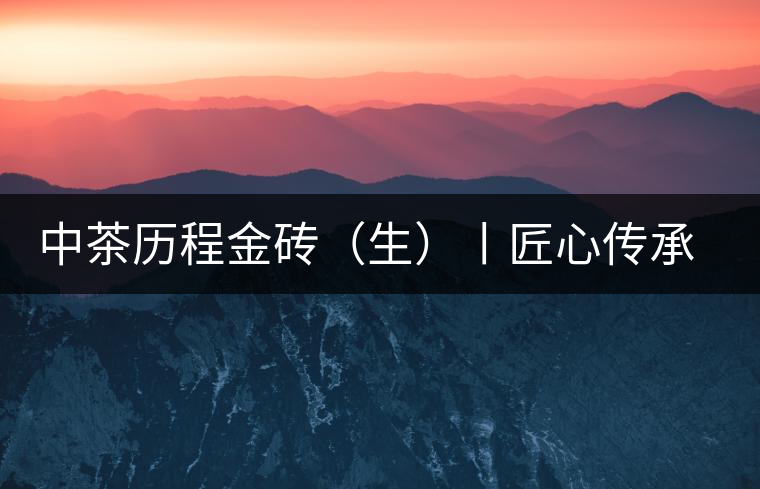 中茶歷程金磚（生）丨匠心傳承，精品迭出