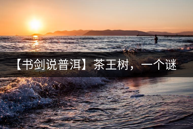 【書劍說普洱】茶王樹，一個(gè)謎一樣的地方