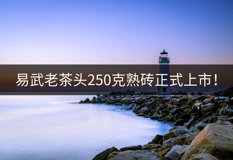 易武老茶頭250克熟磚正式上市！