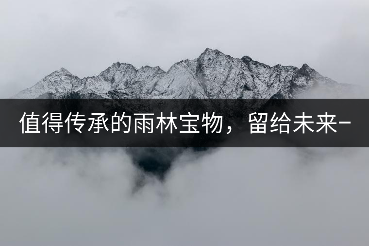值得傳承的雨林寶物，留給未來一點(diǎn)“回甘”！