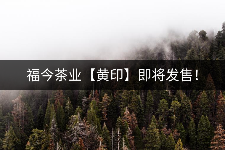 福今茶業(yè)【黃印】即將發(fā)售！