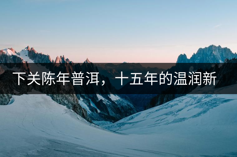 下關(guān)陳年普洱，十五年的溫潤新生