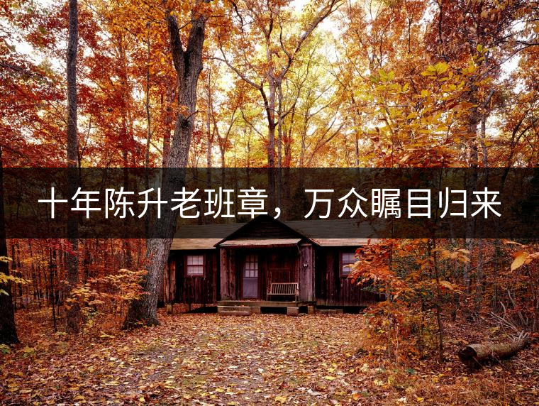 十年陳升老班章，萬眾矚目歸來