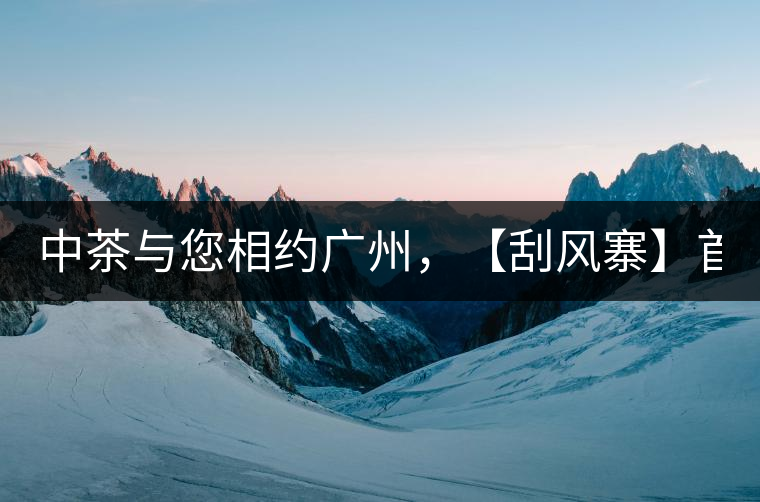 中茶與您相約廣州，【刮風寨】首次亮相！