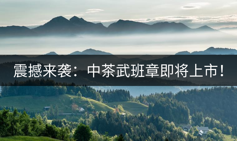 震撼來襲：中茶武班章即將上市！