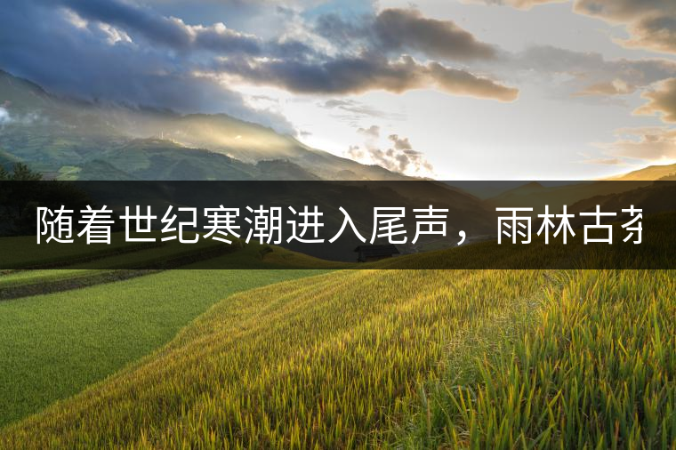 隨著世紀(jì)寒潮進(jìn)入尾聲，雨林古茶坊