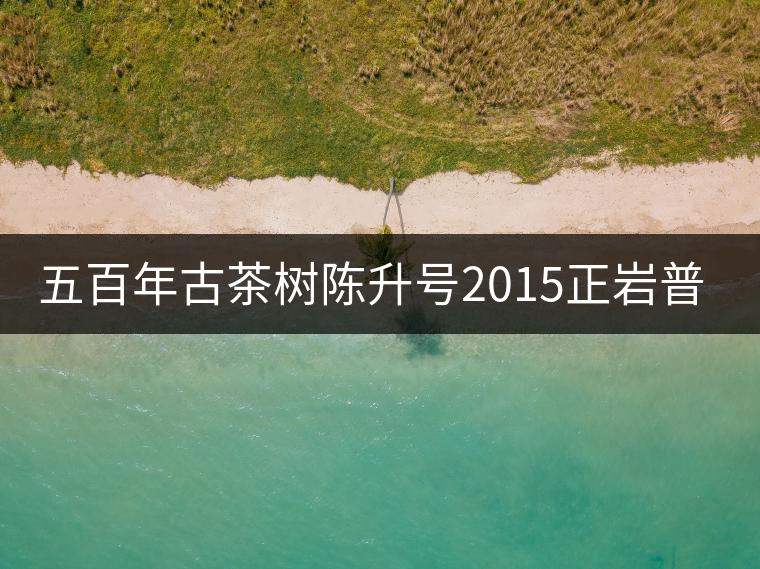 五百年古茶樹陳升號(hào)2015正巖普洱上市 五百年古茶樹陳升號(hào)2015正巖普洱上市