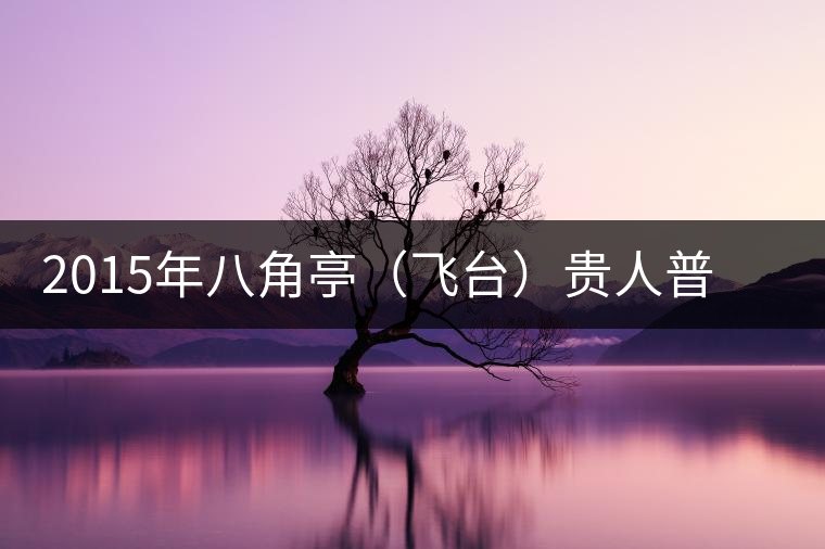 2015年八角亭（飛臺(tái)）貴人普洱茶生茶上市