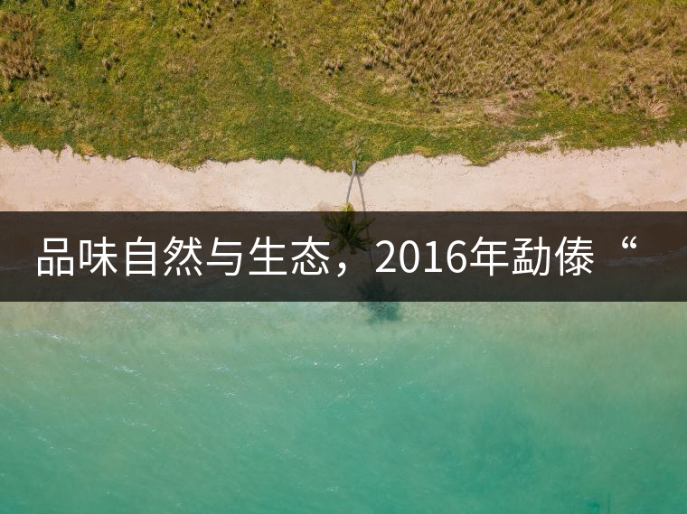 品味自然與生態(tài)，2016年勐傣“大雪山古樹茶”