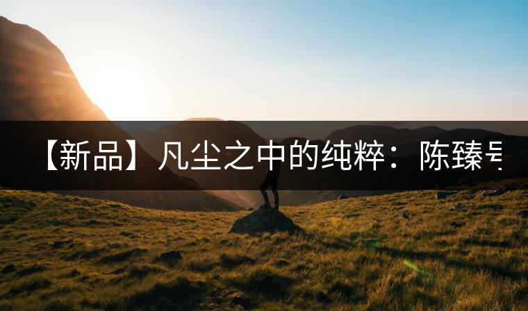 【新品】凡塵之中的純粹：陳臻號2016年精品青餅即將上市！