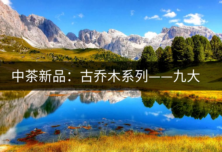 中茶新品：古喬木系列——九大茗山古茶集