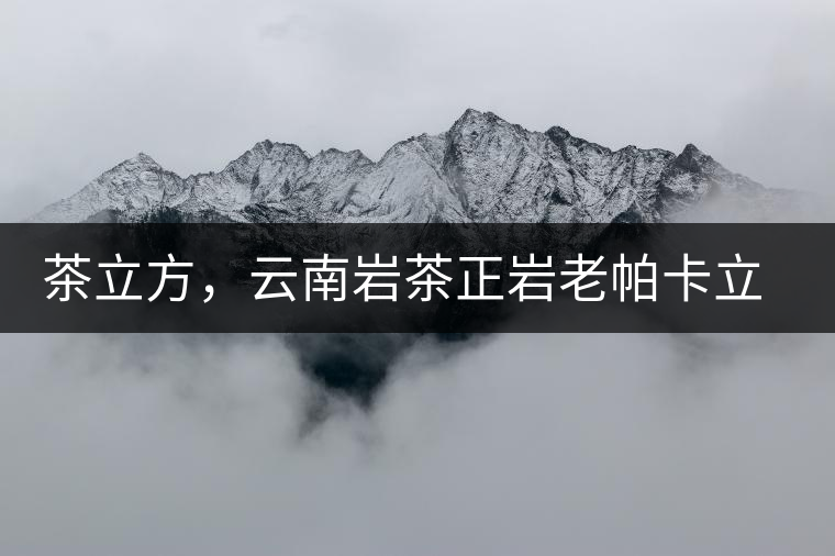茶立方，云南巖茶正巖老帕卡立方磚今日芳香出爐