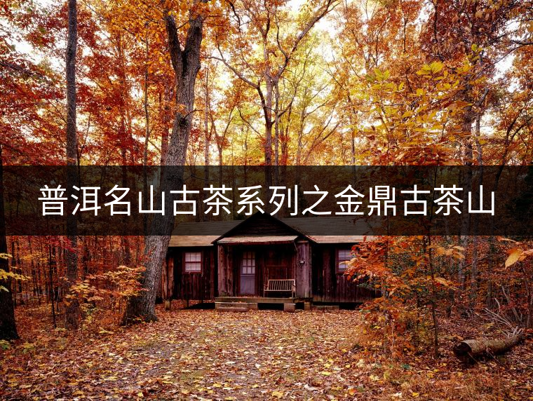 普洱名山古茶系列之金鼎古茶山