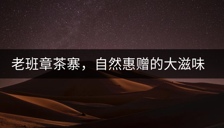 老班章茶寨，自然惠贈的大滋味，大滿足