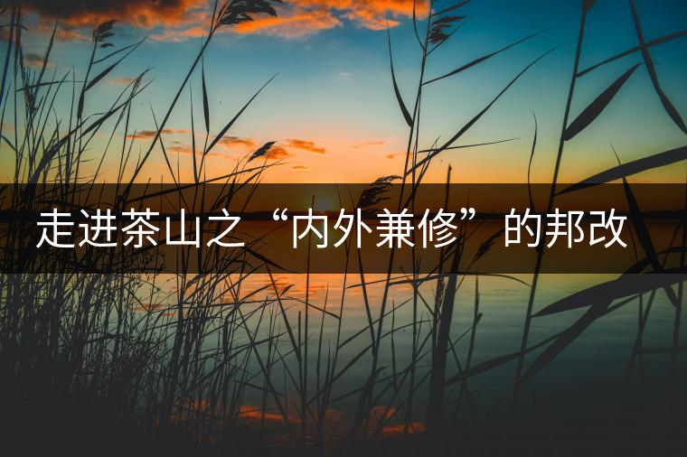 走進茶山之“內外兼修”的邦改村 走進茶山之“內外兼修”的邦改村