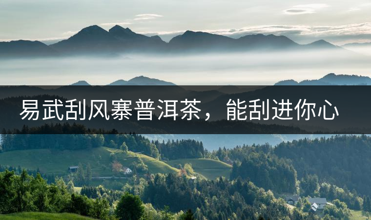 易武刮風(fēng)寨普洱茶，能刮進(jìn)你心中的一道風(fēng)