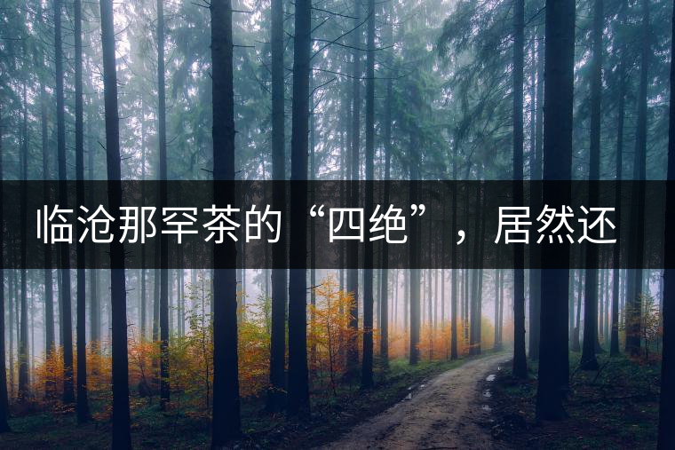 臨滄那罕茶的“四絕”，居然還沒說到它的品質(zhì)