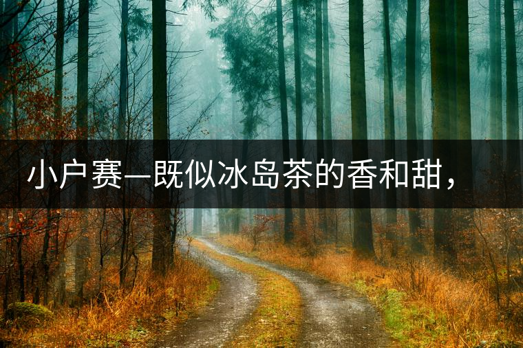 小戶賽—既似冰島茶的香和甜，又有其獨(dú)特的純和凈