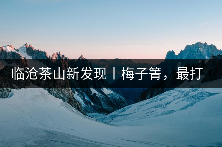 臨滄茶山新發(fā)現(xiàn)丨梅子箐，最打動自己的茶山