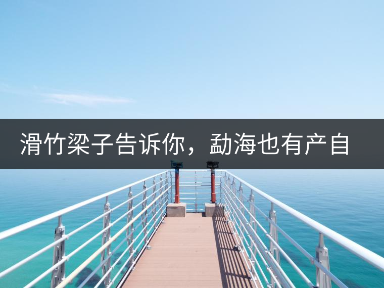 滑竹梁子告訴你，勐海也有產(chǎn)自國有林里的好茶！