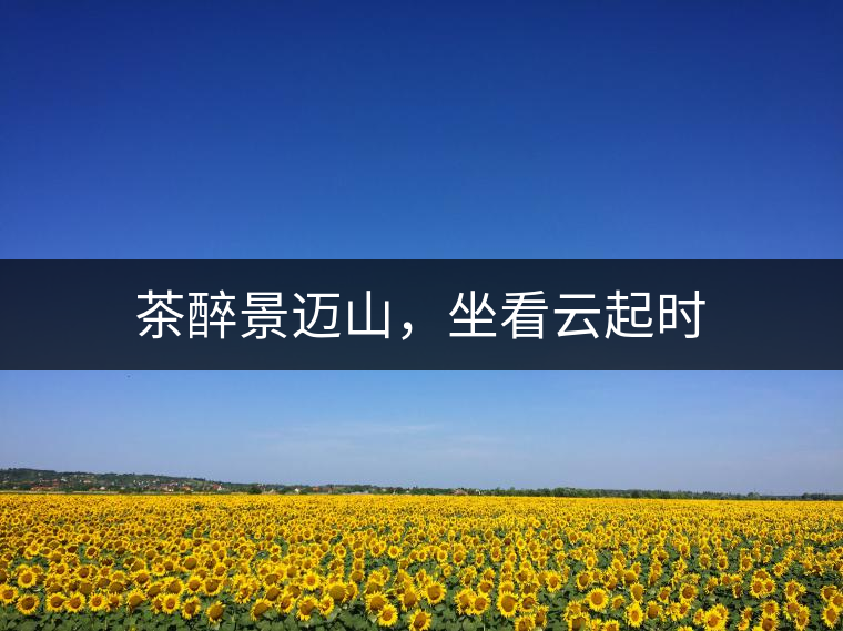 茶醉景邁山，坐看云起時(shí)