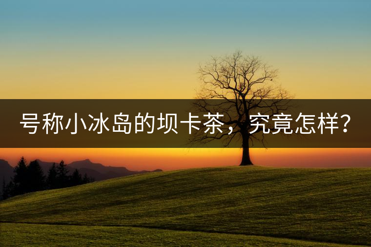 號稱小冰島的壩卡茶，究竟怎樣？