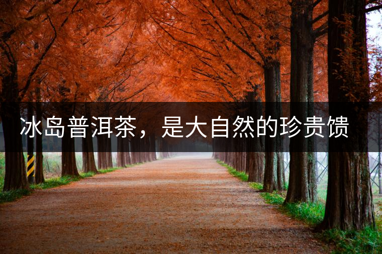 冰島普洱茶，是大自然的珍貴饋贈