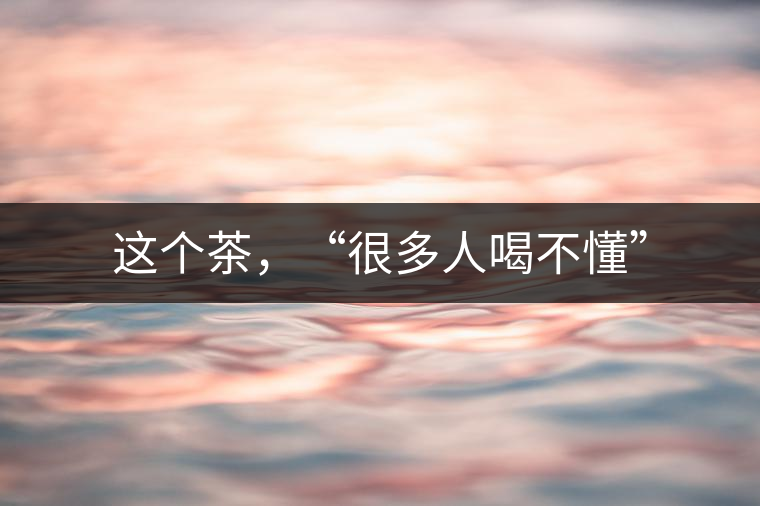 這個茶，“很多人喝不懂”