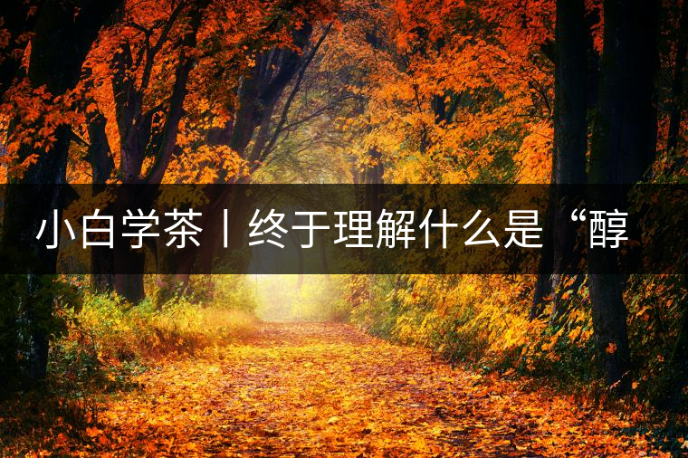 小白學(xué)茶丨終于理解什么是“醇厚、耐泡，回甘”了