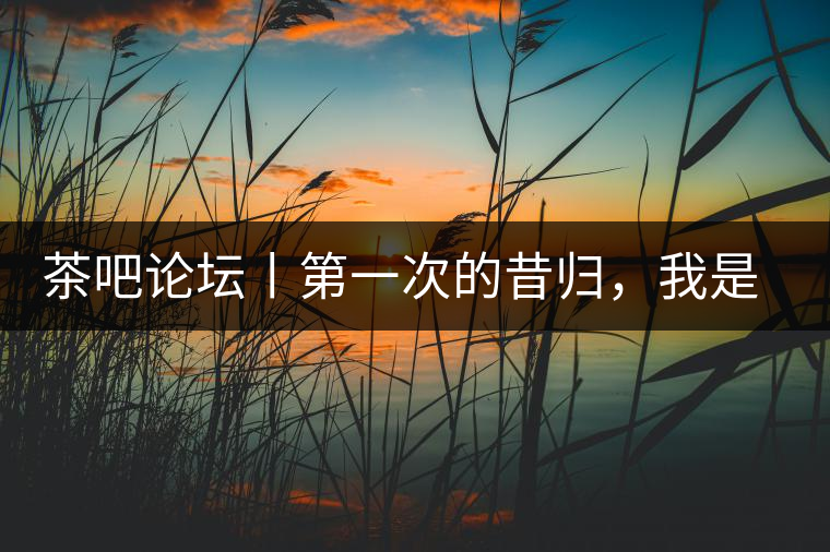 茶吧論壇丨第一次的昔歸，我是這樣喝到的